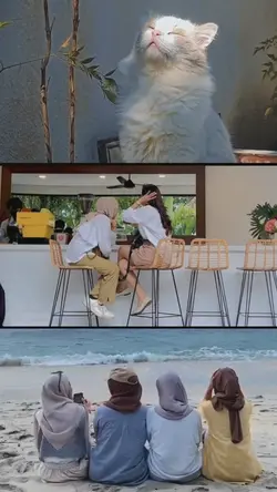 3 VIDEO