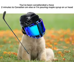 CANADIANS