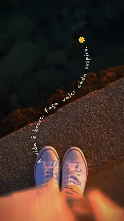 A vida é breve
