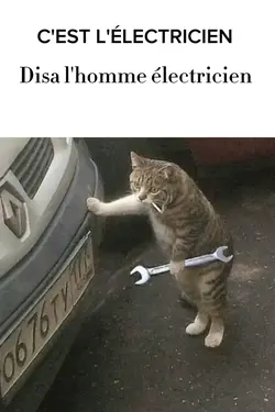 C'EST L'ÉLECTRICIEN 