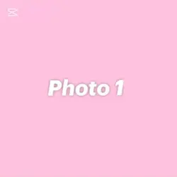 L’hai fatta la fota?