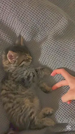 İnan senden geçemiyo