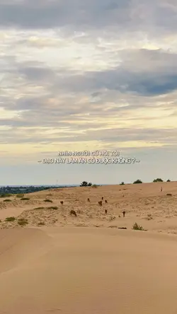 Làm thì có thể thua