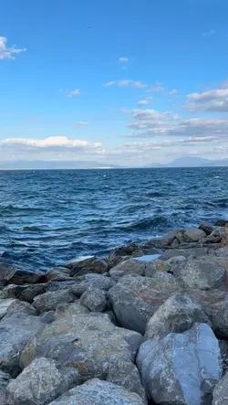 Efsane Şablon