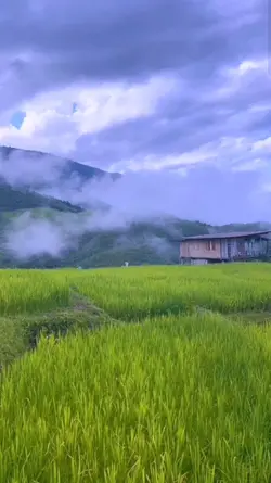 ผลิบานทั้งใจ