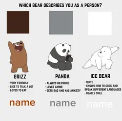 3 bears 