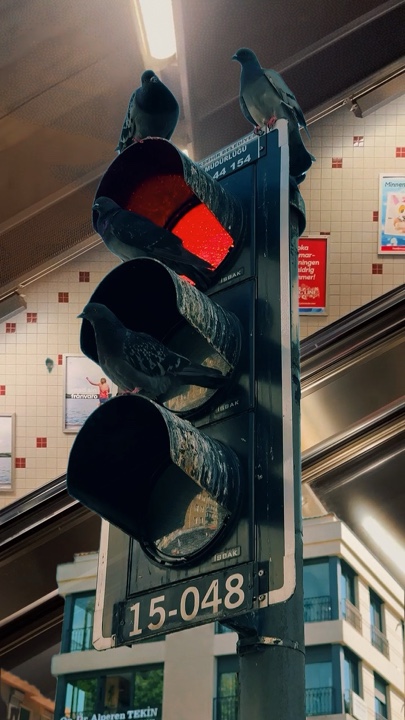 CUTOUT TRANSITION