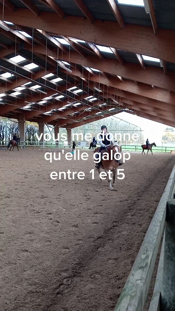 quelle galop ?