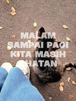 cuma temen