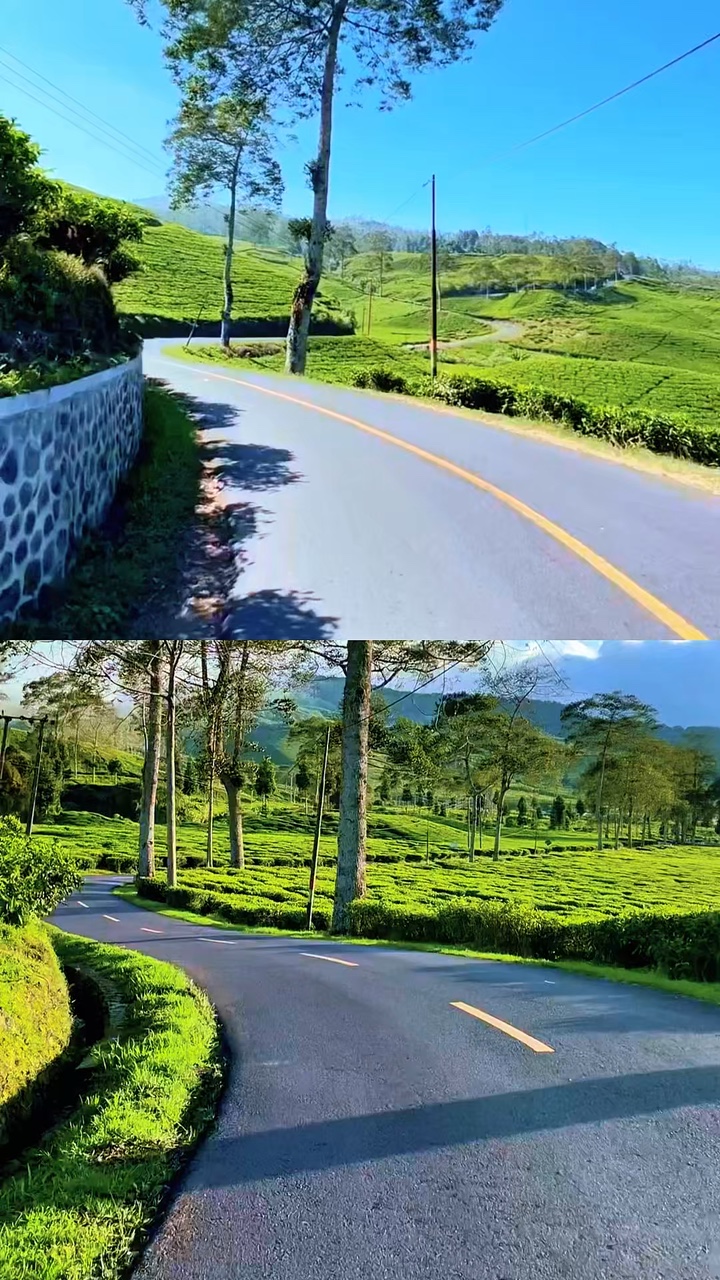 2 vídeos kolase