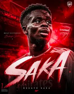 saka wallpaper