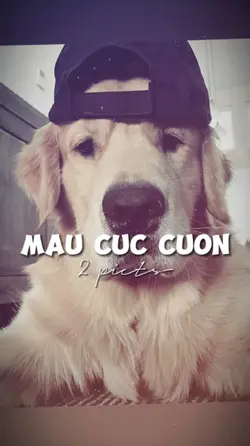 2 ẢNH GIẬT GIẬT CHÁY