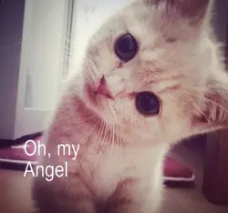 oh my angel