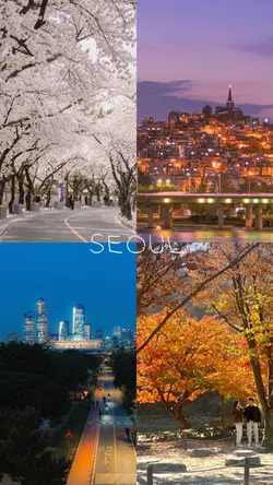 서울 내 소울 | 여행사진 넣어보세요