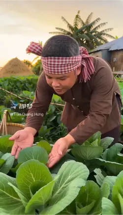 mẫu bỏ phố về quê