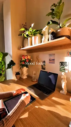Timelapse 1 Video