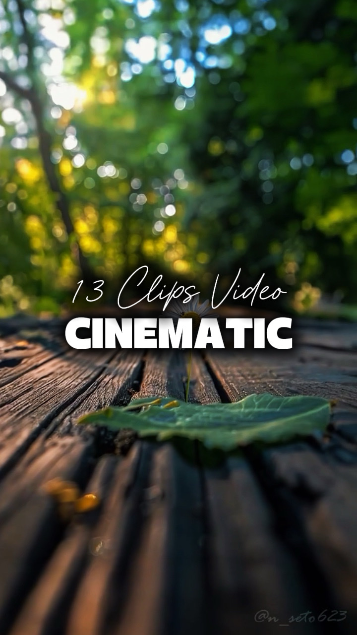 13 Vidéos Cinématiques 
