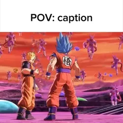 Goku & future gohan