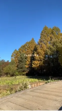心得