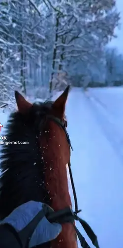 Riding in the snow