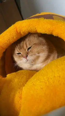 Bisikan Setan