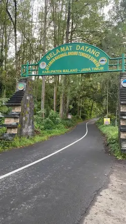 bromo trend