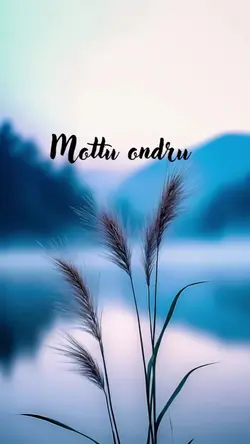 Mottu ondru 