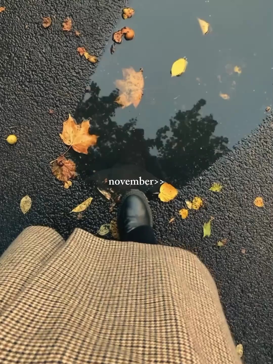 november 