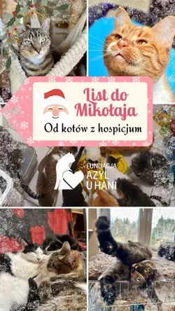 List do Mikołaja 