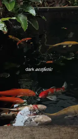 dark aesthetic