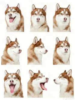 萌えペットの9コマ表情スタンプai