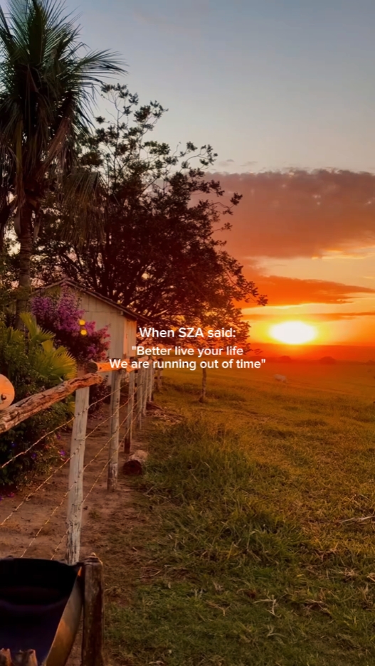 When SZA said: