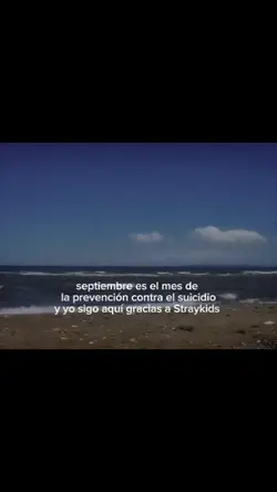 gracias a Straykids