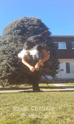 outside there's SUN!