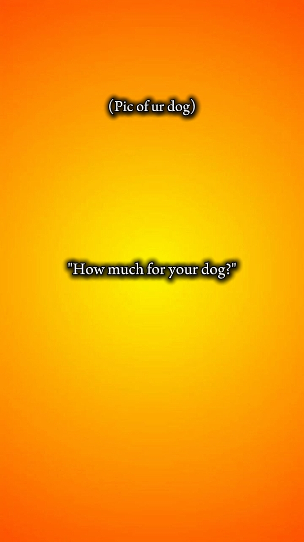 Perro