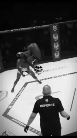 mma brutality 