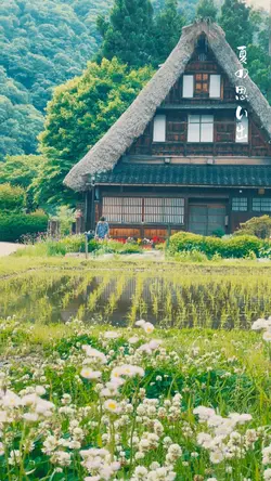 ほっこり🎐日本の夏🍉