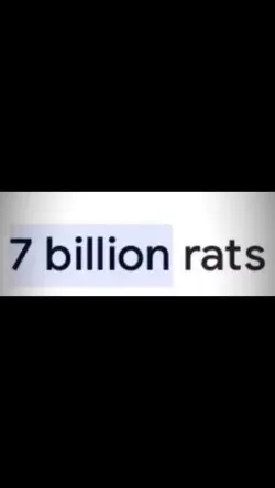 7 billion rats