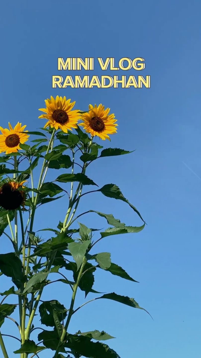 Mini vlog ramadhan
