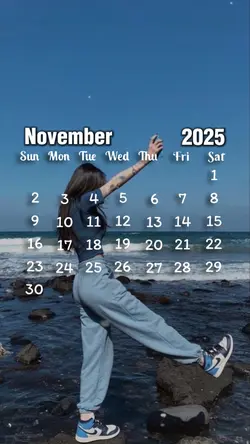 2025 NOVEMBER