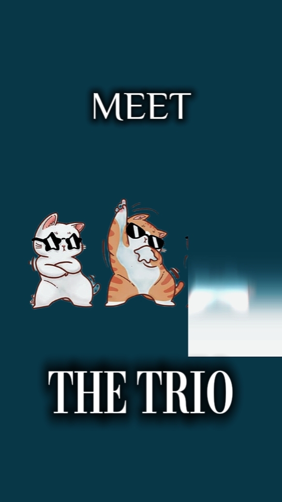 MEET THE TRIO