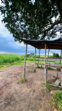 Natural Refreshment🍃