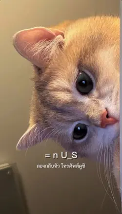 รักนะ จุ๊ฟๆ