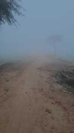 Fog Poem