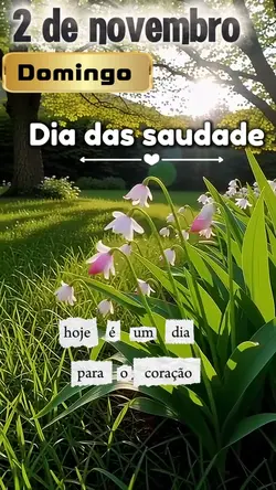 2 de novembro 