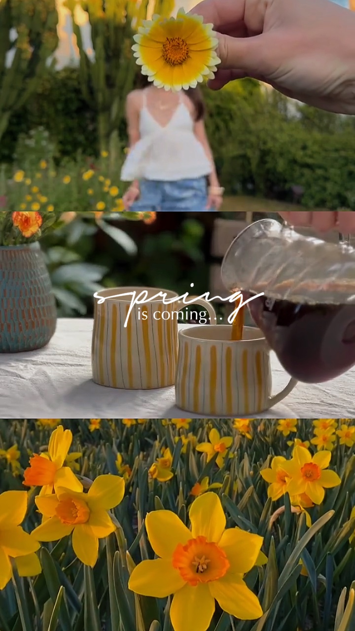 A primavera está chegando