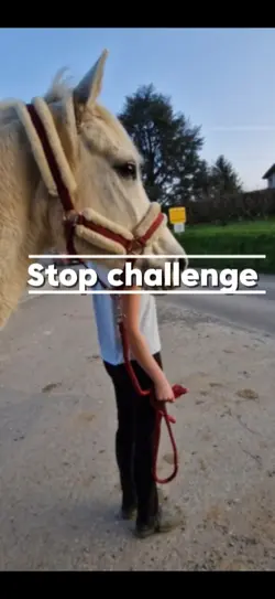 Stop challenge