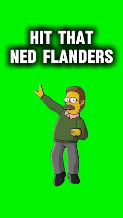 Ned Flanders 