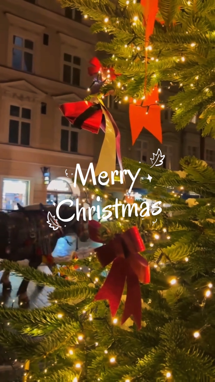 Frohe Weihnachten 