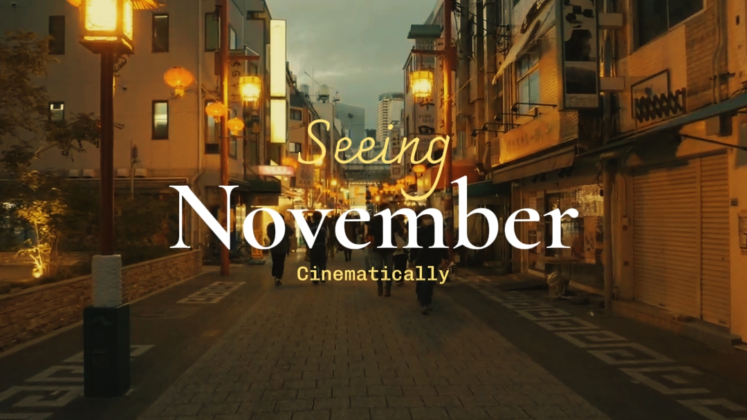 Vendo novermber 